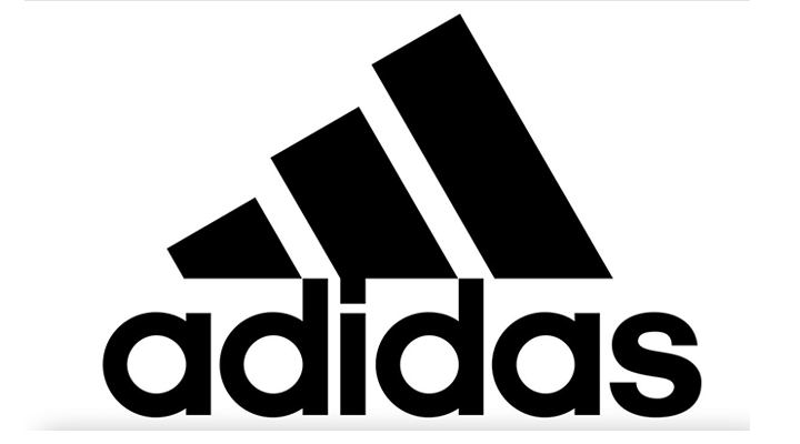 见证历史的 见证历史的