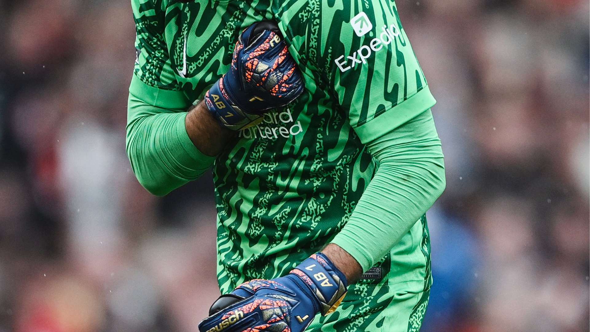 球迷们可以 球迷们可以